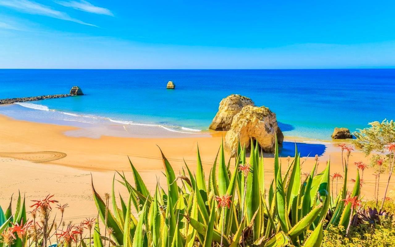 Paradise Sunshine Studio Portimao Ngoại thất bức ảnh